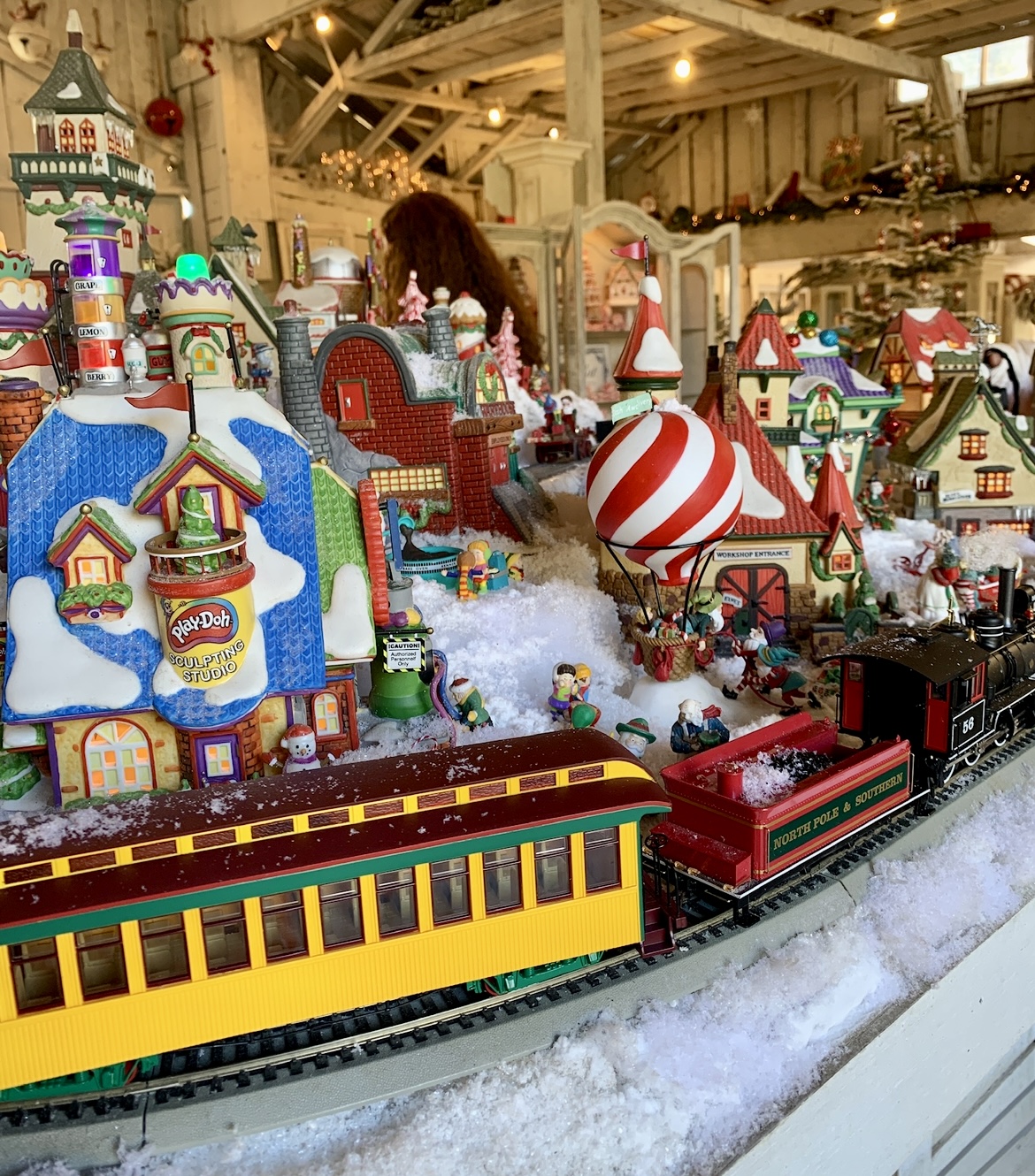 Grandma's Christmas Trees Sebastopol, CA [photos]