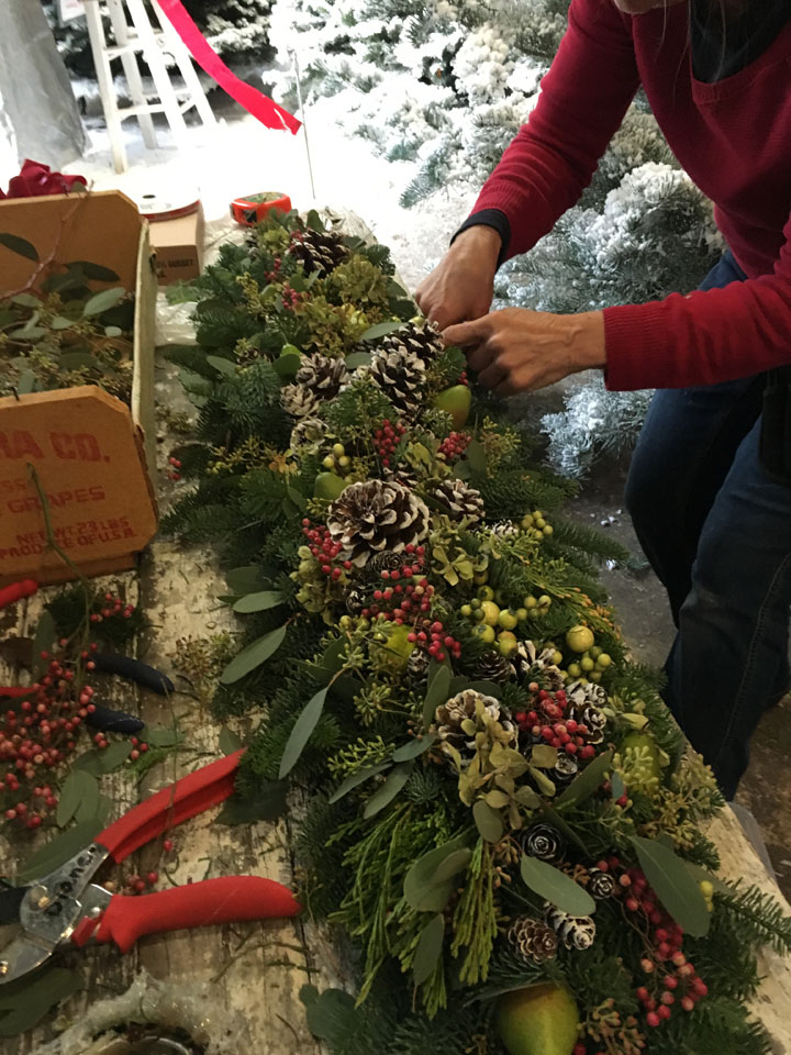 Grandma's Christmas Trees Sebastopol, CA [photos]