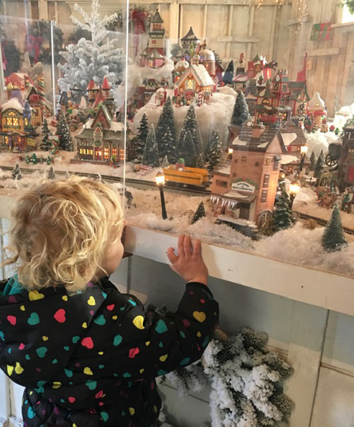 Grandma's Christmas Trees Sebastopol, CA [photos]