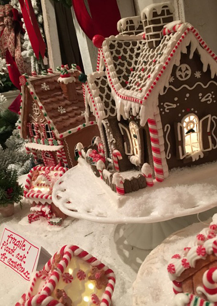 Grandma's Christmas Trees Sebastopol, CA [photos]