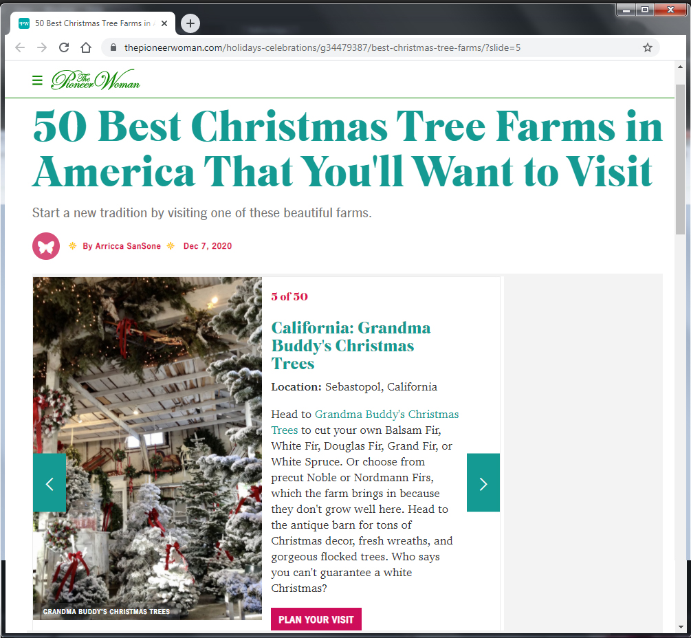 Grandma's Christmas Trees Sebastopol, CA [home]